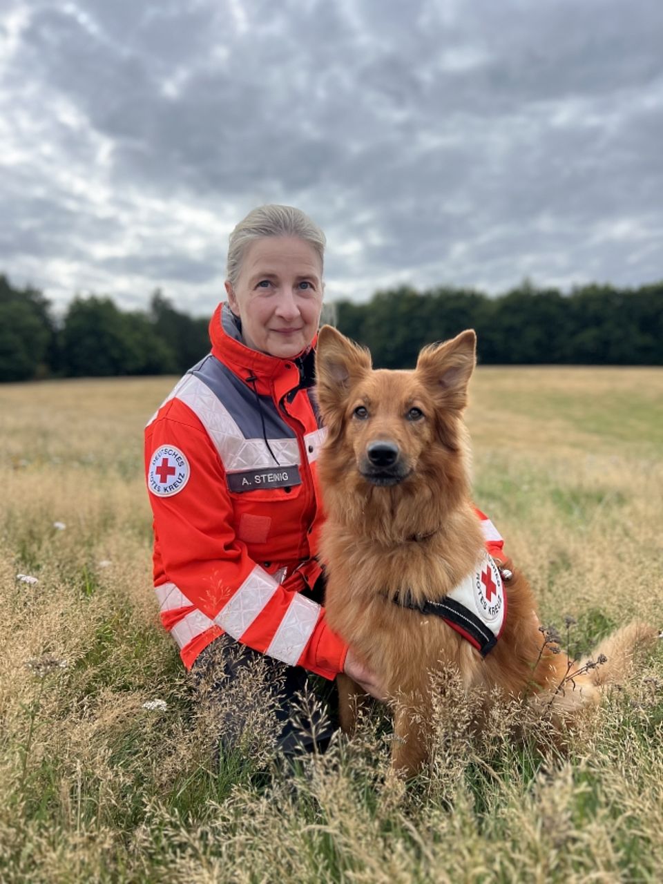Anja mit Cleo Eine Frau (Rettungskraft mit dem Namensschild "A. Steinig") kniet in orange-grauer Einsatzkleidung des Deutschen Roten Kreuzes (DRK) auf einer trockenen, grasbewachsenen Wiese. Sie umarmt einen mittelgroßen, goldbraunen Harzer Fuchs Rettungshund mit abstehenden Ohren. Der Hund trägt ein Geschirr mit dem Roten Kreuz und blickt direkt in die Kamera, ebenso wie die Hundeführerin. Im Hintergrund ist ein Waldrand unter einem bewölkten Himmel zu sehen.